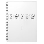 Capolista
 
   Notebooks