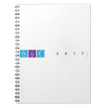 Feliz 2017  Notebooks