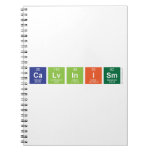 Calvinism  Notebooks