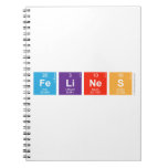 FeLiNeS  Notebooks
