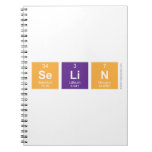 Selin  Notebooks