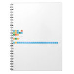 why i loved this $7!т huh?  WHYYYYYYYYYYYYYYYYYYYYY?  Notebooks