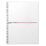 SHAHRIZAL B OTHMAN  Notebooks