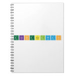 EliotGelwan  Notebooks