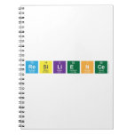 Resilience  Notebooks