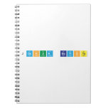 joshua batiste   Notebooks