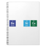 Be Nice  Notebooks