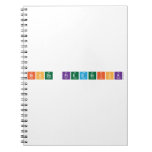 Brody Frederick  Notebooks