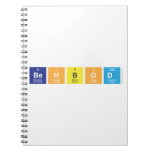 Behbod  Notebooks