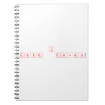 I 
 LOVE  ELIJAH                               Notebooks