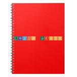 Travis Larson  Notebooks