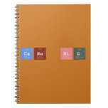 CARE BIG  Notebooks