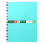 Elif ERGÜL   Notebooks