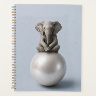 Notebooks