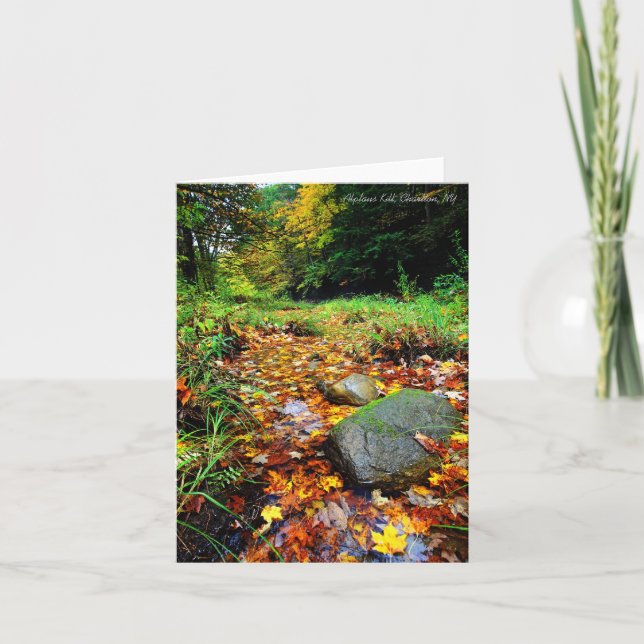 Notecard: Alplaus Kill, Charlton, NY Card (Front)