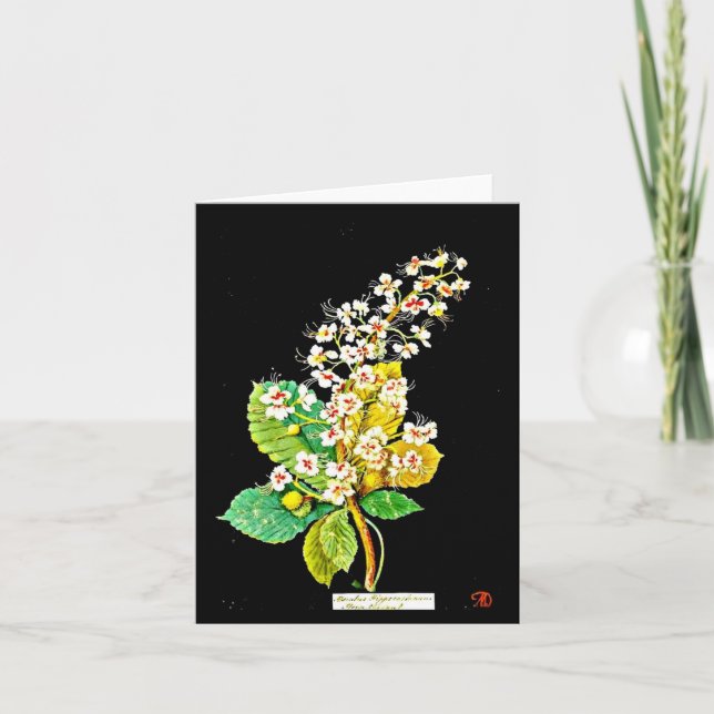 Notecard-Botanical Art-Mary Delany 10 Card (Front)