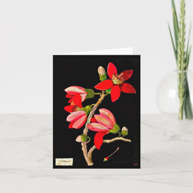 Notecard-Botanical Art-Mary Delany 17 Card (Front)