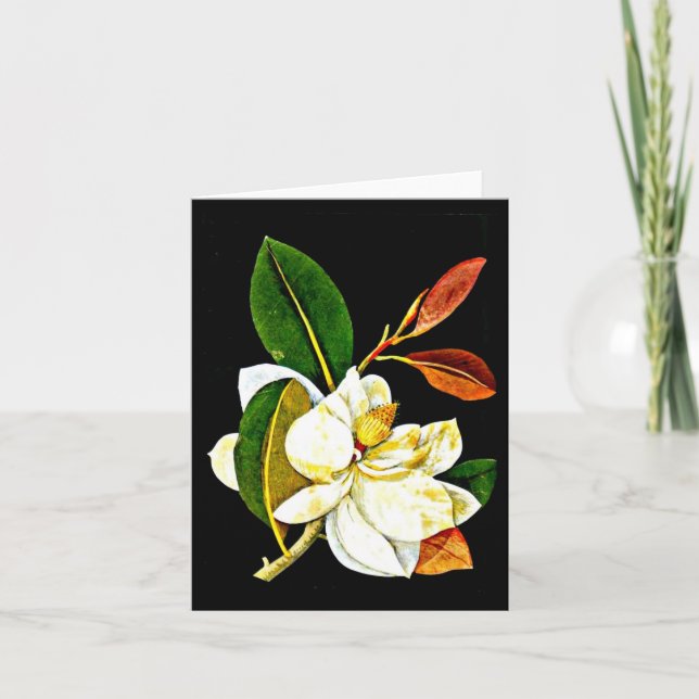 Notecard-Botanical Art-Mary Delany 1 Card (Front)