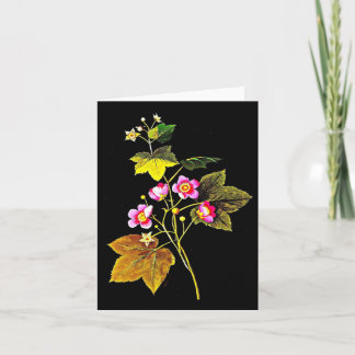 Notecard-Botanical Art-Mary Delany 4 Card