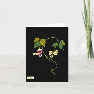Notecard-Botanical Art-Mary Delany 5 Card