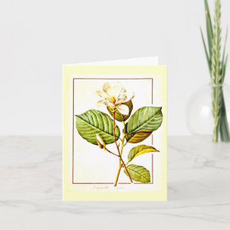 Notecard-Botanicals-Pierre Joseph Redoute 12 Card