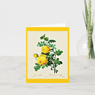 Notecard-Botanicals-Pierre Joseph Redoute 13 Card