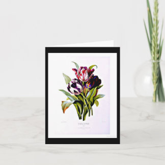 Notecard-Botanicals-Pierre Joseph Redoute 15 Card