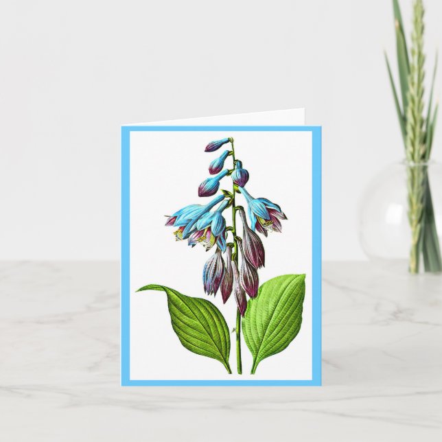 Notecard-Botanicals-Pierre Joseph Redoute 17 Card (Front)