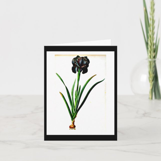 Notecard-Botanicals-Pierre Joseph Redoute 18 Card (Front)