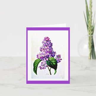 Notecard-Botanicals-Pierre Joseph Redoute 8 Card