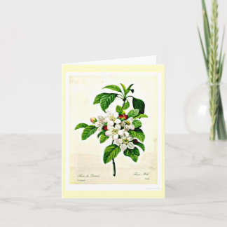 Notecard-Botanicals-Pierre Joseph Redoute 9 Card