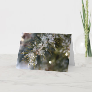 NOTECARD, Crystal flakes on Spruce Needles Card