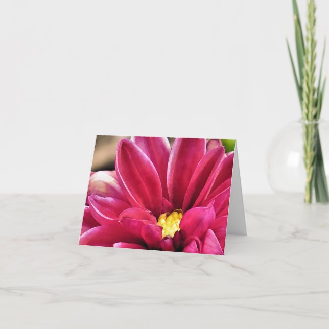 Notecard - Dahlia closeup (Front)