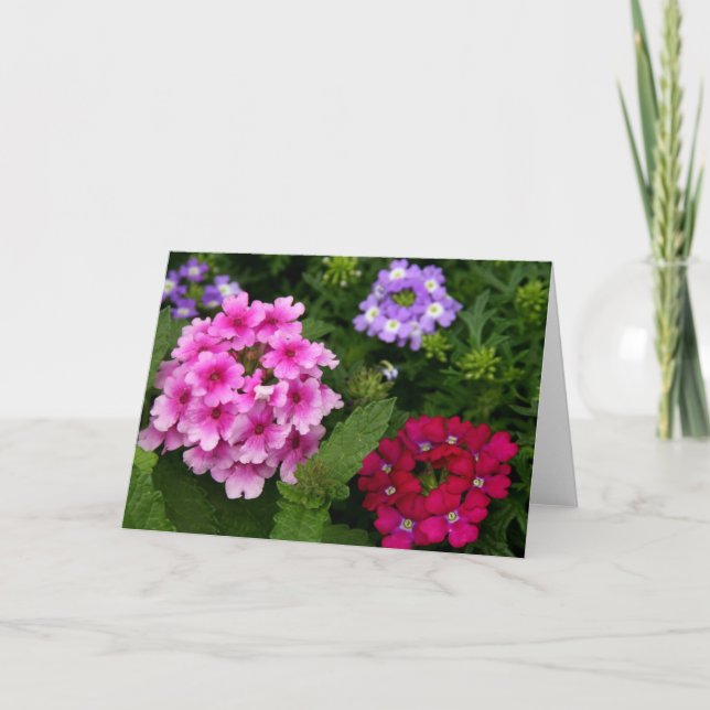 Notecard Flowers (Front)