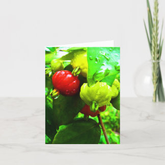 Notecard-Food/Drink-111 Card