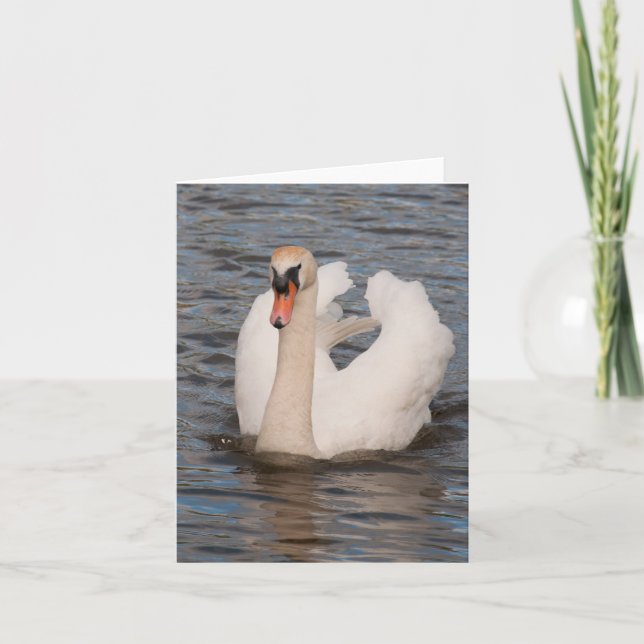 Notecard: 'Grace' Male Mute Swan Card (Front)