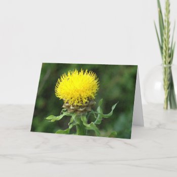 Notecard  Humor "how Are You" Card by whatawonderfulworld at Zazzle