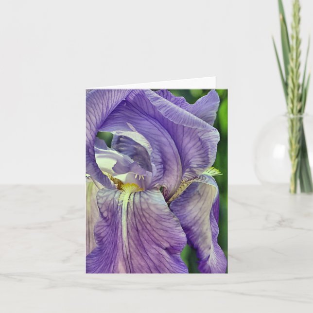 Notecard - Iris (Front)