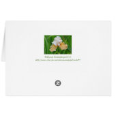 NOTECARD, PEACH AND WHITE IRIS/ HELLO /PHOTOG. CARDS (Back Horizontal)