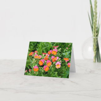 Notecard Pink and Orange Flowers