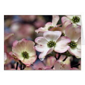 Notecard - Pink Dogwood (Front Horizontal)