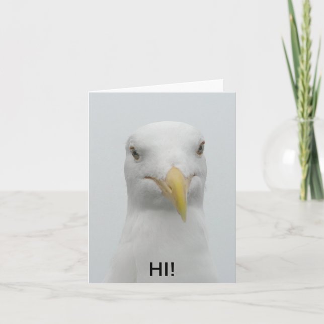 Notecard - Seagull says "Hi!" (Front)