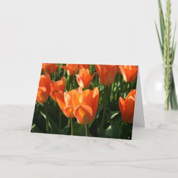 Notecard Tulips by TheInspiredEdge at Zazzle