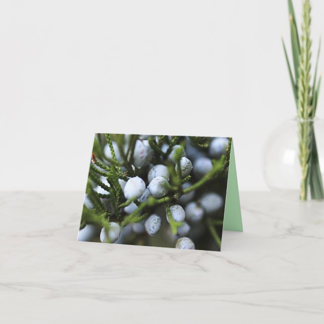 Notecard with Juniper Berries (Front)