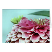 Notecard - Zinnia Petals (Front Horizontal)