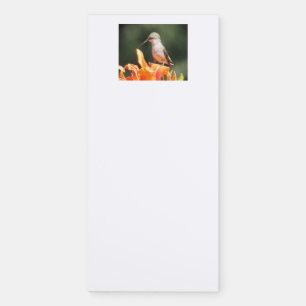 Noted - Hummingbird Notepad