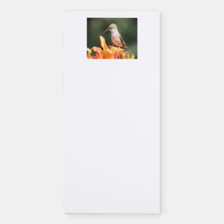 Noted - Hummingbird Notepad