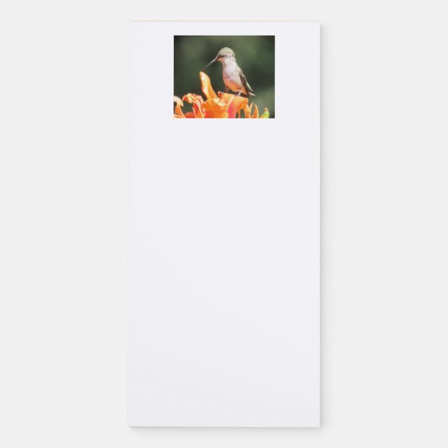 Noted - Hummingbird Notepad (Front)