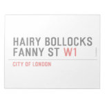 hairy bollocks fanny st  Notepads