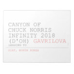 Canyon of chuck norris INFinity 2018 (D'oh)  Notepads